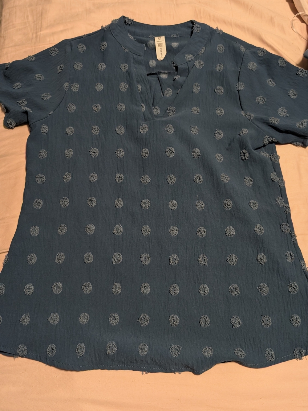 Blue Textured Dot Short Sleeve Top
